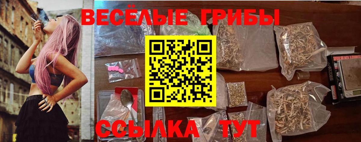 закладка  Вход с VPN  Новочеркасск  Псилоцибиновые грибы мухоморы 